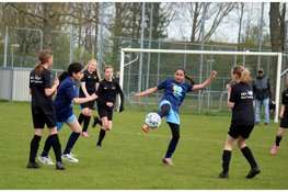 Alle schoolvoetbalkampioenen van Dijk en Waard zijn bekend!