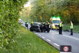 Beknelling na frontale botsing op N245 Oudkarspel, hondje ook gewond bij ongeval