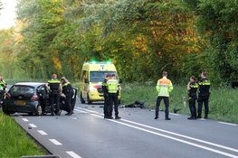 Beknelling na frontale botsing op N245 Oudkarspel, hondje ook gewond bij ongeval