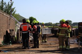 Koeien zakken door vloer van mestkelder in Noord-Scharwoude