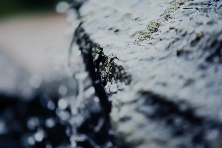 Vang jij al regenwater op voor de planten in je tuin?