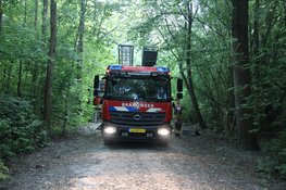 Flinke natuurbrand in Waarderhout snel onder controle