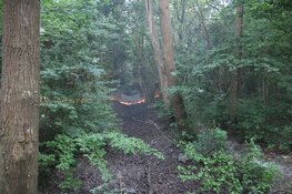 Flinke natuurbrand in Waarderhout snel onder controle