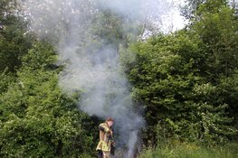 Flinke natuurbrand in Waarderhout snel onder controle