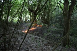 Flinke natuurbrand in Waarderhout snel onder controle