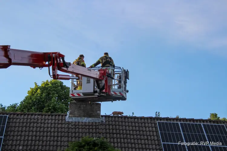 Kat Chef houdt brandweer bezig op dak in Oudkarspel