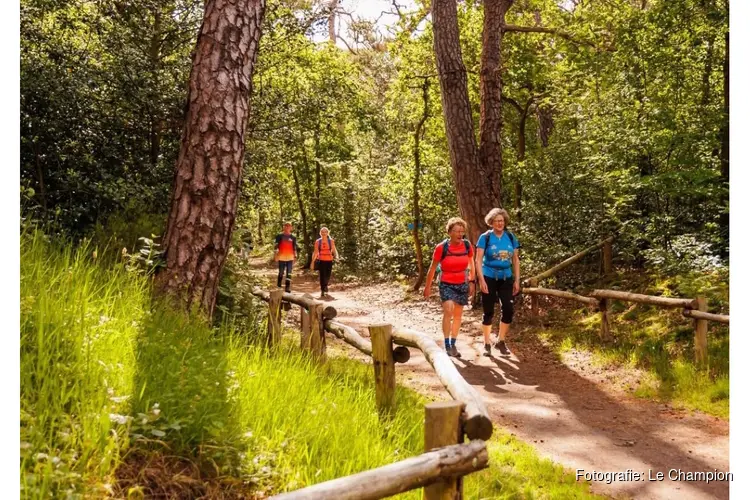 Grootste 4daagse wandeltocht van Noord-Holland De 4 van Alkmaar van start