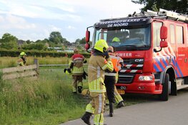 Paard komt op eigen kracht uit sloot nadat brandweer reddingsactie op touw zet