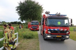 Paard komt op eigen kracht uit sloot nadat brandweer reddingsactie op touw zet