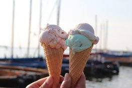 IJssalons in Dijk en Waard