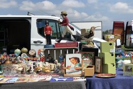Van zolderopruiming tot verzamelobject op de kofferbakmarkt Strand van Luna