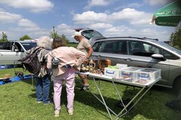 Van zolderopruiming tot verzamelobject op de kofferbakmarkt Strand van Luna
