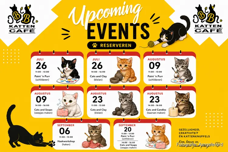 Aankomende workshops bij Digibeet kattencafé