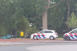 Verwarde man zorgt voor overlast langs drukke weg en wordt aangehouden