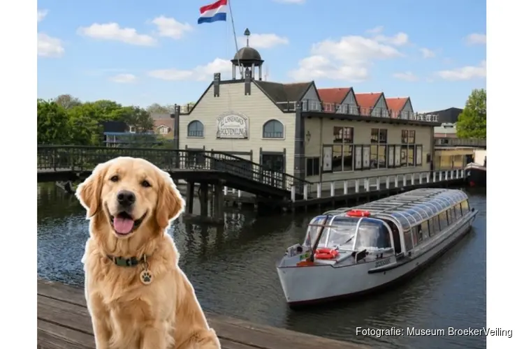 Internationale Hondendag bij Museum BroekerVeiling: een dagje uit voor baas én hond