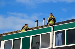 Brandweer redt kat Mili van dak in Heerhugowaard