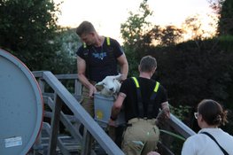 Opnieuw schaap te water: brandweer haalt dier uit water bij Noord-Scharwoude