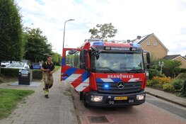 Gaslucht blijkt lekkende mini-gasbrander in kelderbox in Heerhugowaard