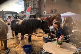 Landbouwdag brengt dieren en traditie naar Alkmaar