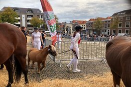 Landbouwdag brengt dieren en traditie naar Alkmaar