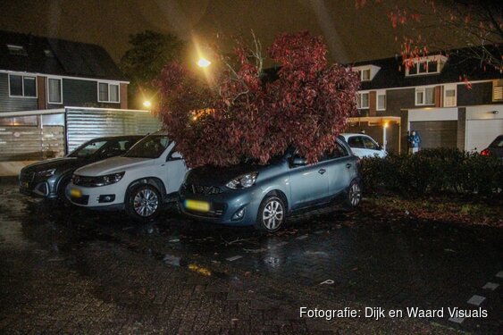 Omgevallen boom belandt op auto door storm Boelo in Heerhugowaard
