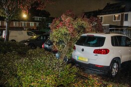 Omgevallen boom belandt op auto door storm Boelo in Heerhugowaard