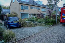 Afgebroken tak valt door storm op auto in Heerhugowaard