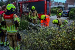 Afgebroken tak valt door storm op auto in Heerhugowaard
