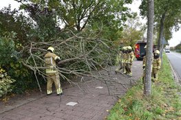 Boom valt om door storm op de Jan Glijnisweg in Heerhugowaard